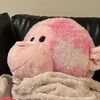 pigpopstar88